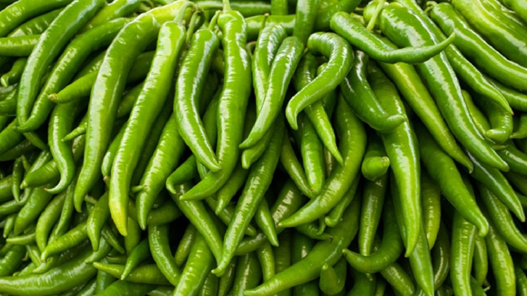 Freshvegetables5