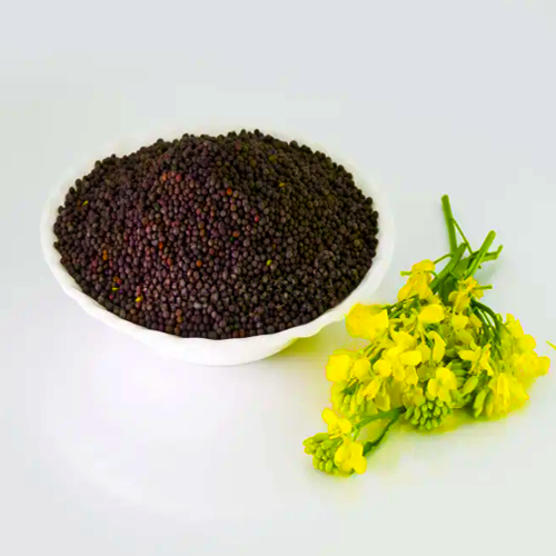 Rapeseeds