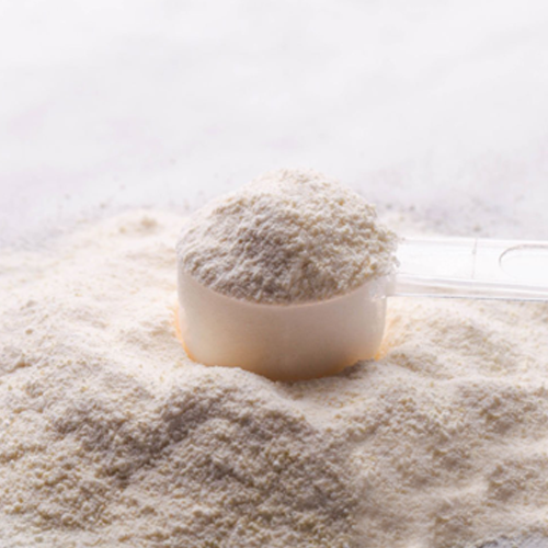Whey-Powder-Web